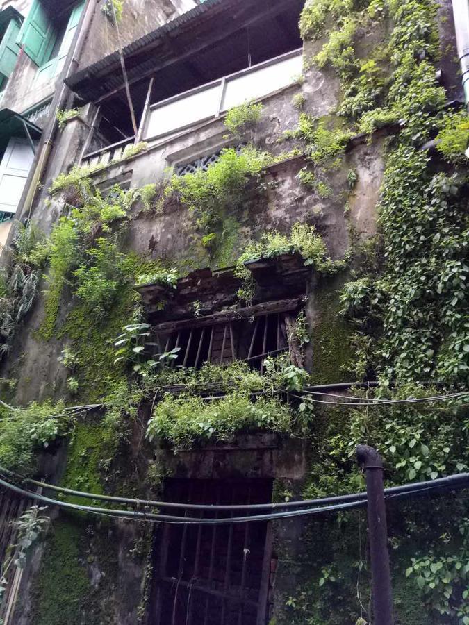 Baobabed Hostel Yangon, Myanmar Exterior photo
