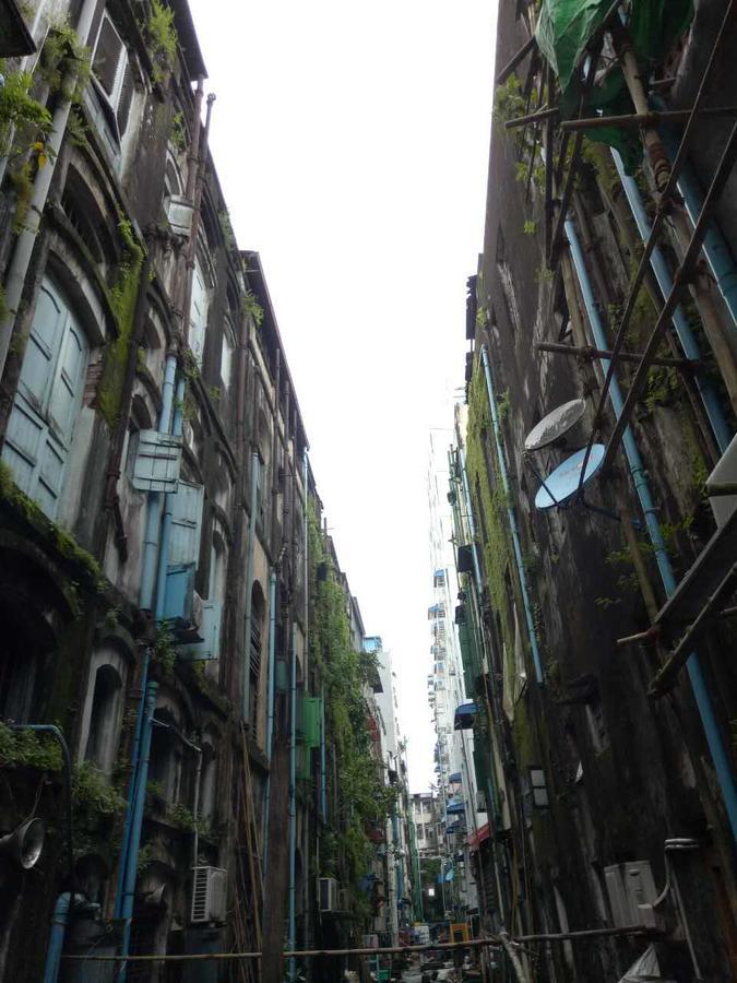 Baobabed Hostel Yangon, Myanmar Exterior photo